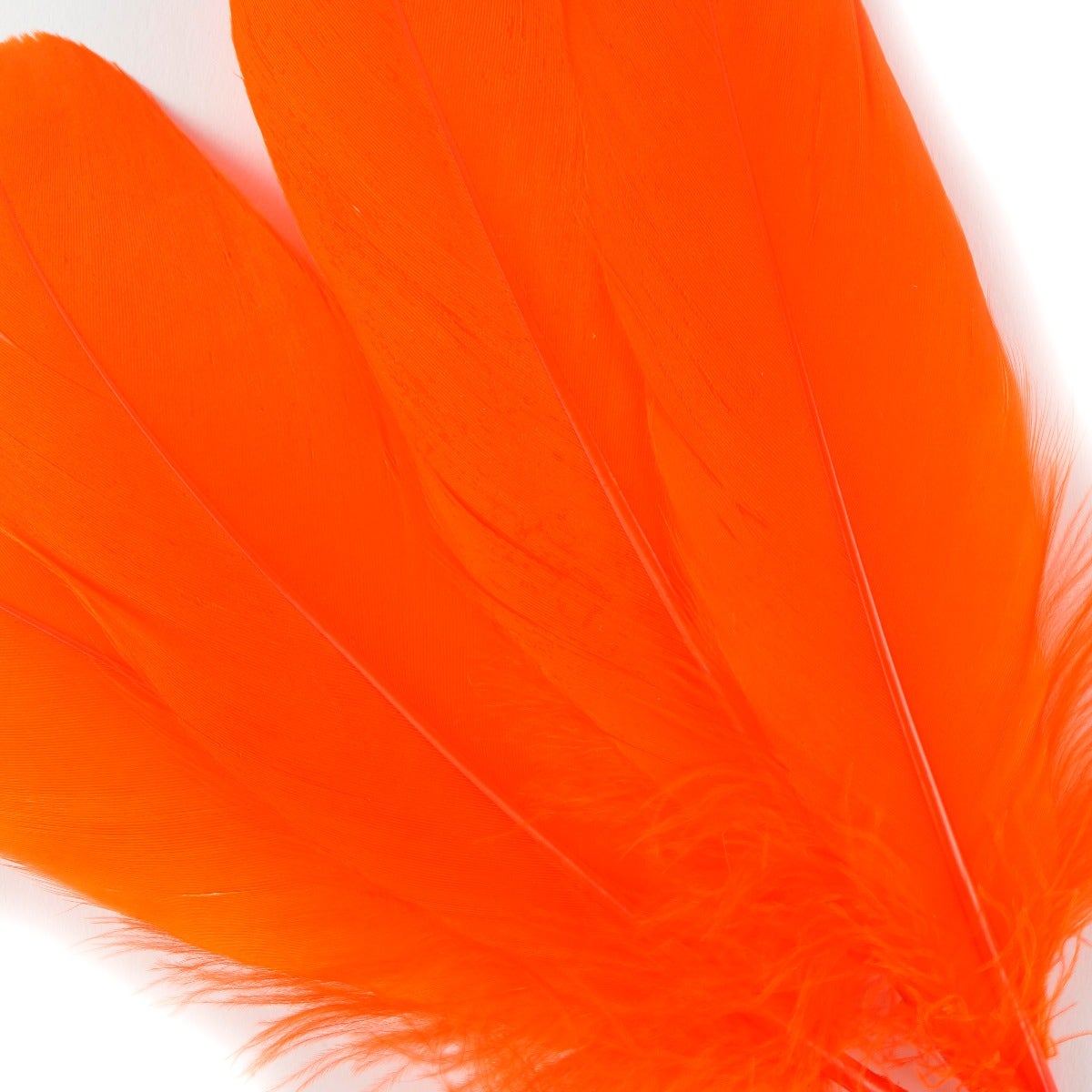 Goose Pallet Feathers 6-8" - 12 pc - Orange
