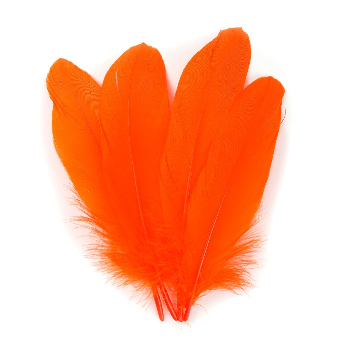 Goose Pallet Feathers 6-8 - 12 PC - Orange