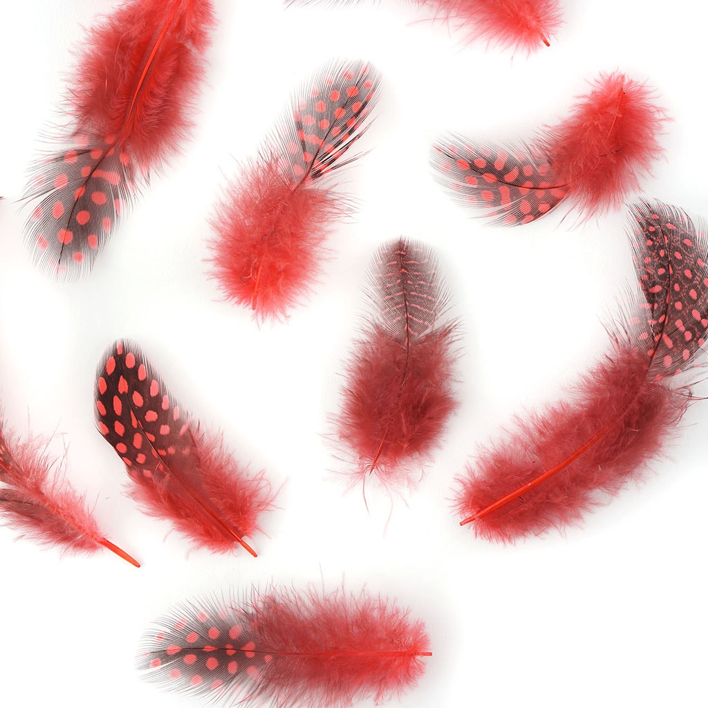 Bulk Guinea Hen Plumage - 1/4 lb - Hot Orange