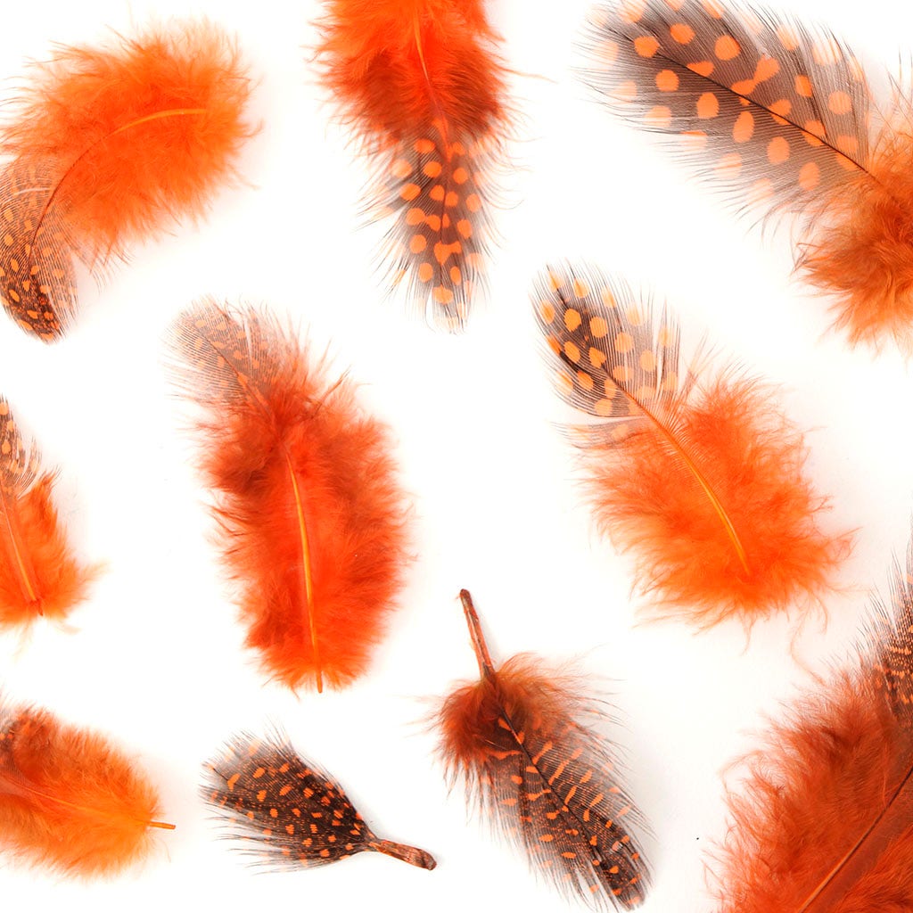Loose Guinea Plumage Natural - Orange