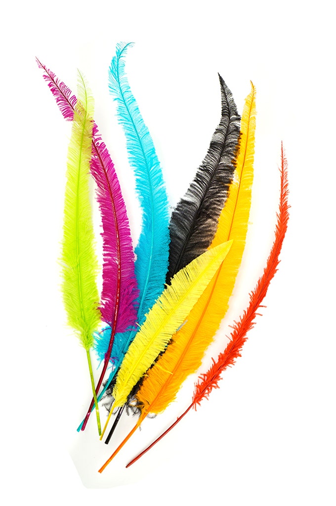 Ostrich Nandu Selected Feathers 12 PCS - Mango