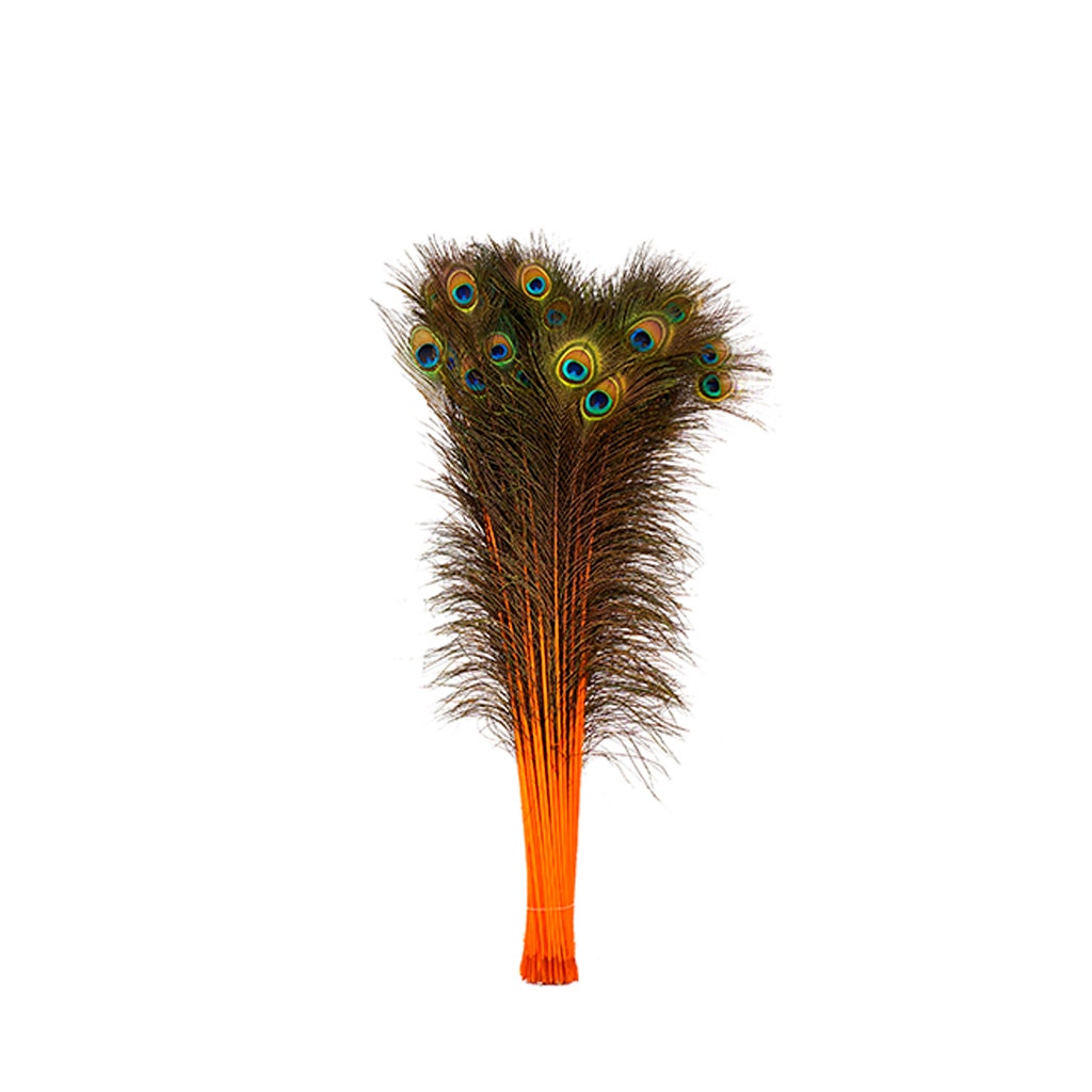 Peacock Tail Eyes Stem Dyed - 25-40 Inch - 100 PCS - Orange