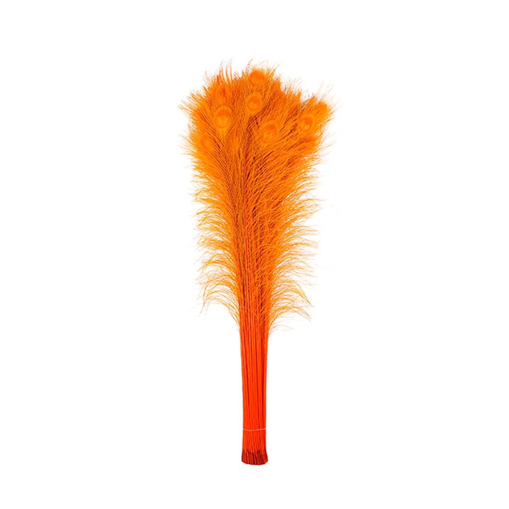Peacock Tail Eyes Bleached Dyed - Orange
