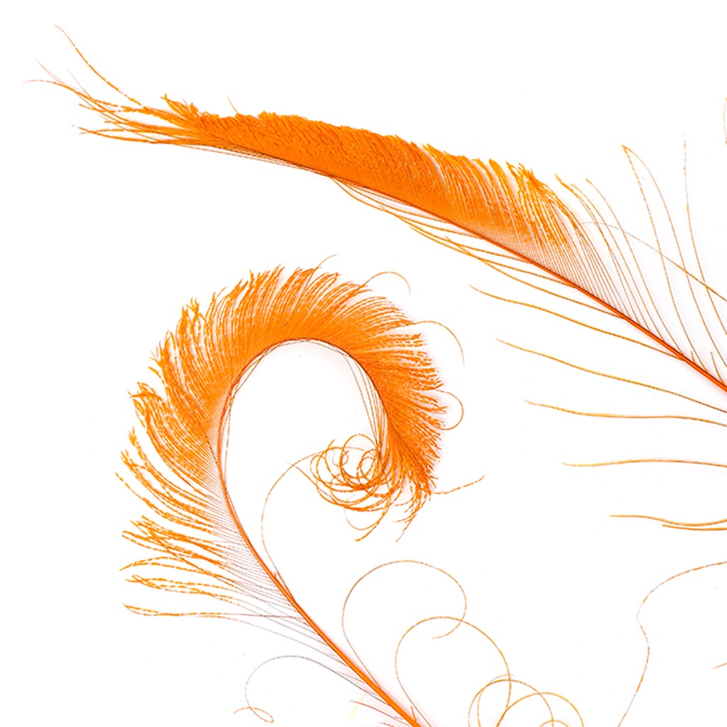 Peacock Swords Bleached/Dyed - Orange