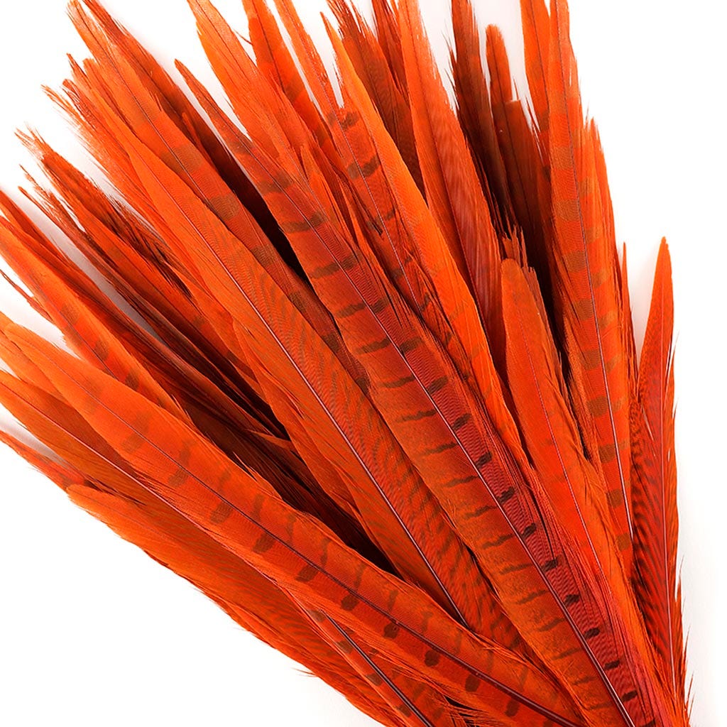 Pheasant Tails Assorted Bleached - Orange