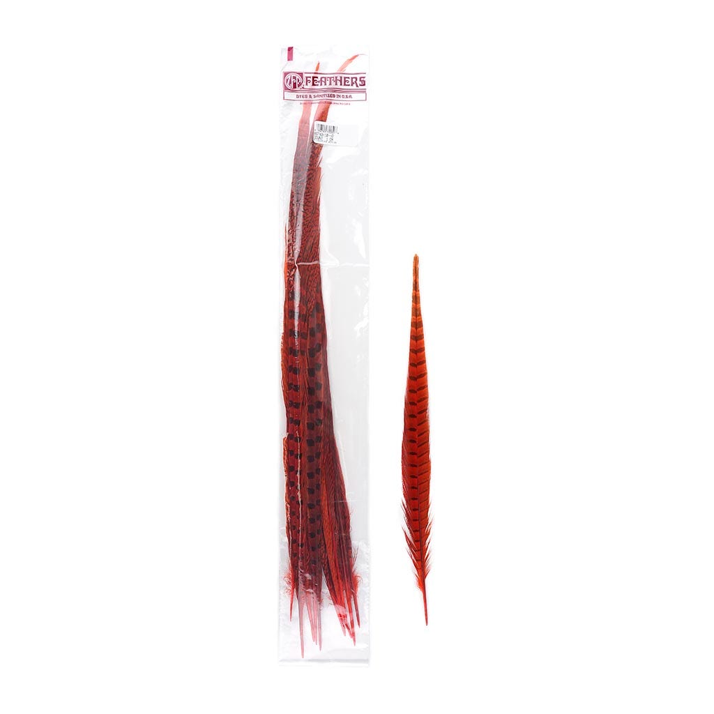Pheasant Tails Assorted Bleached - Orange