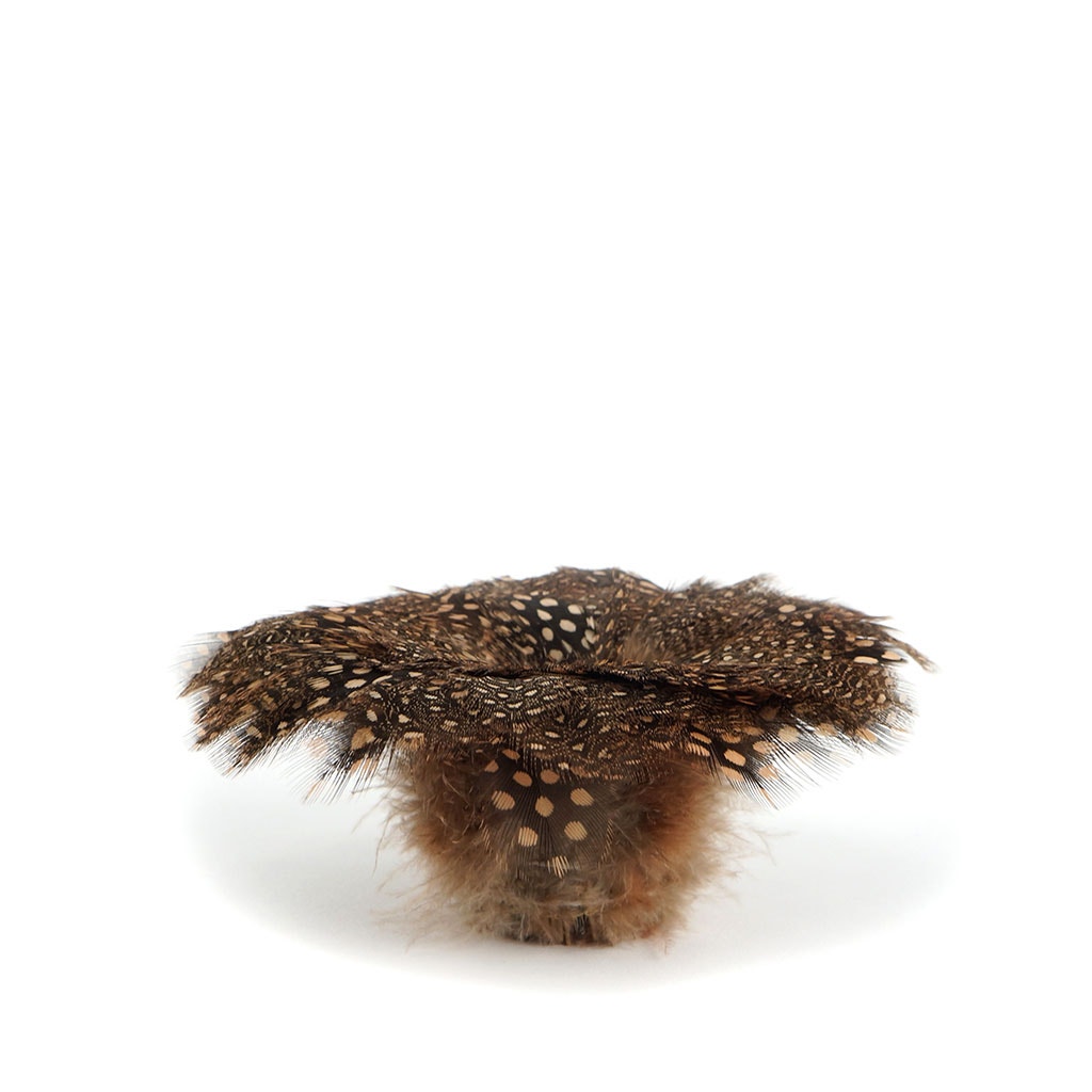 Guinea Plumage Feathers - Cinnamon