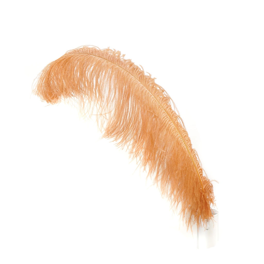 Large Ostrich Feathers - 24-30 Prime Femina Plumes - White –   by Zucker Feather Products, Inc.