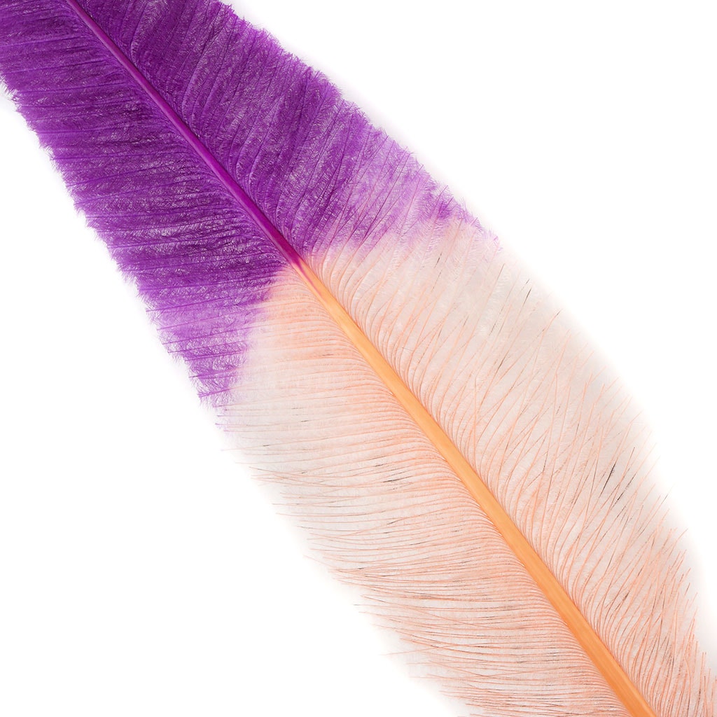 Ostrich Nandu Tipped Feathers Selected - Apricot Blush - Very Berry