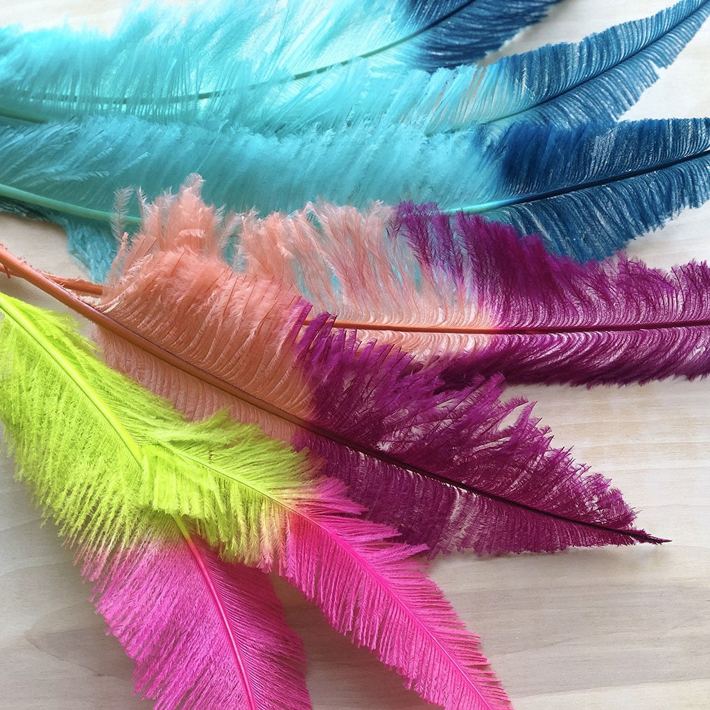 Ostrich Nandu Tipped Feathers Selected - Apricot Blush - Very Berry