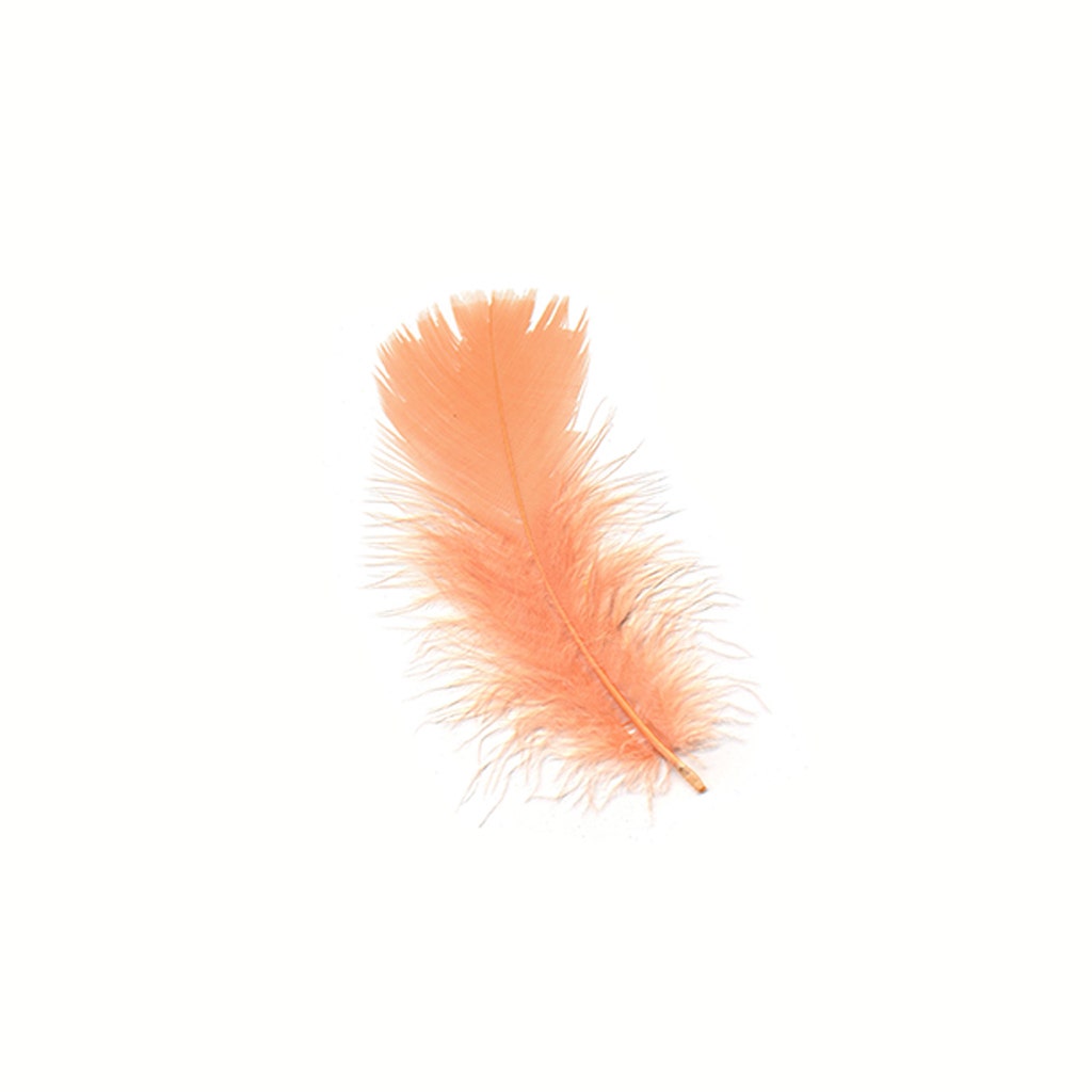 Loose Turkey Plumage Feathers - Shrimp