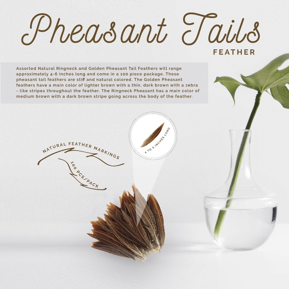 10 PC/PKG Golden Pheasant Tails Natural 8-10" - Natural