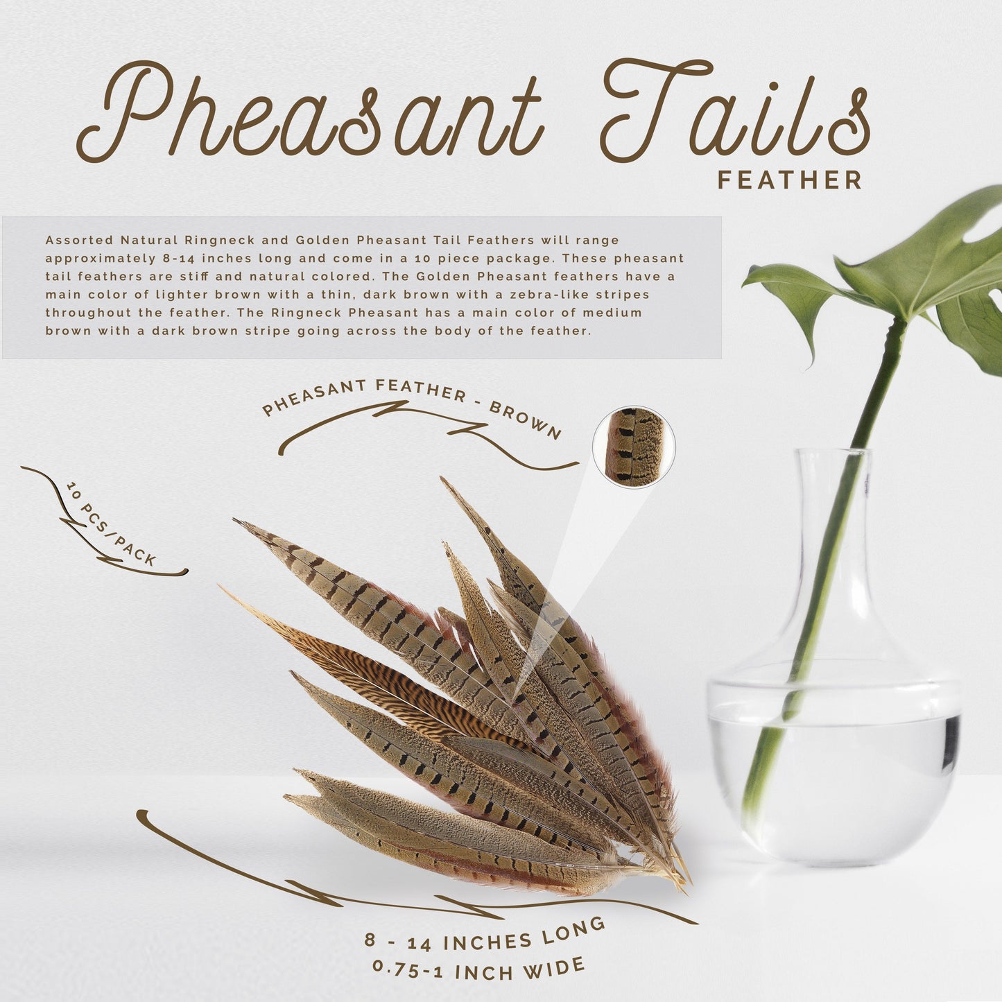 Pheasant Tails Assorted Natural - 8-14"