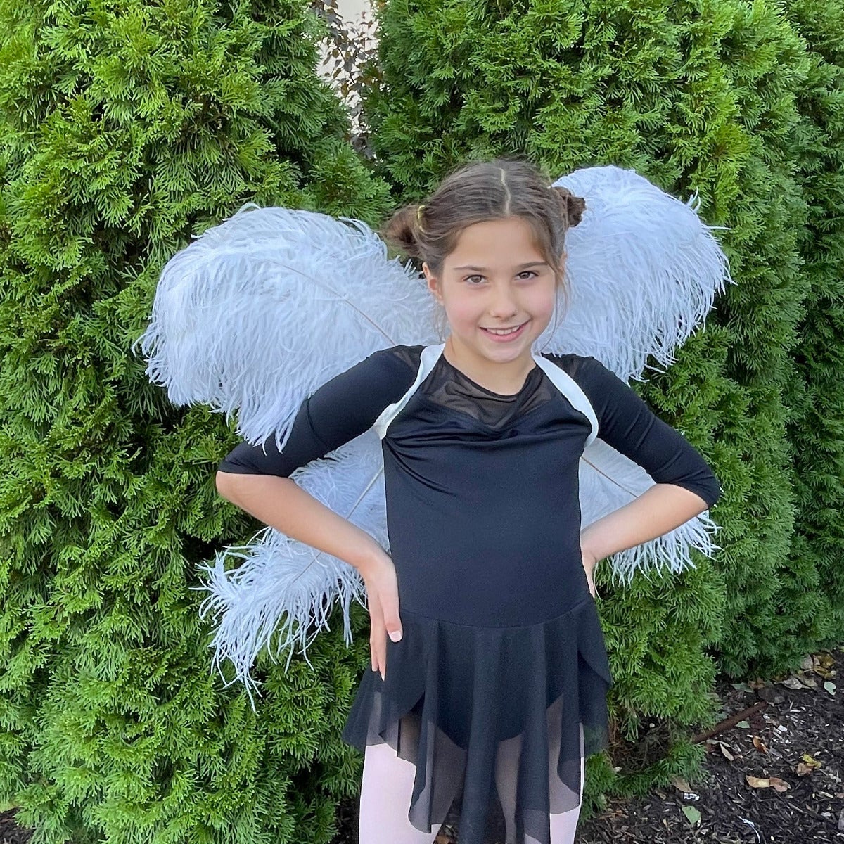 Medium Large Upcycled Ostrich Feather Costume Wings - White