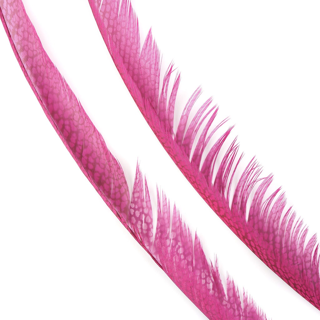 Golden Pheasant Center Tails Dyed Fl Fuchsia