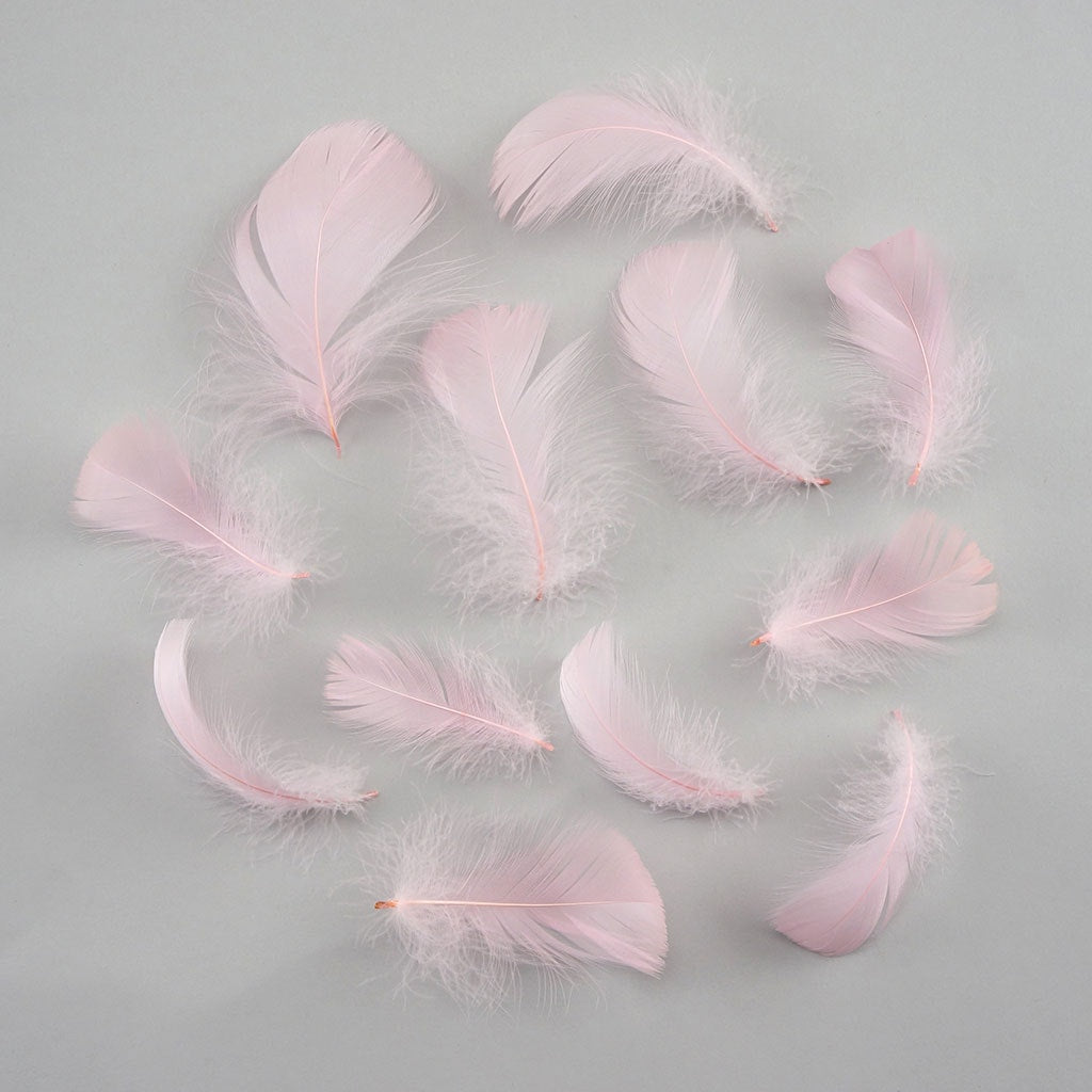Candy Pink Loose Goose Coquille Feathers 3-5 inch