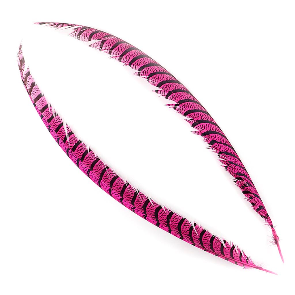 Lady Amherst Pheasant Tails - Shocking Pink
