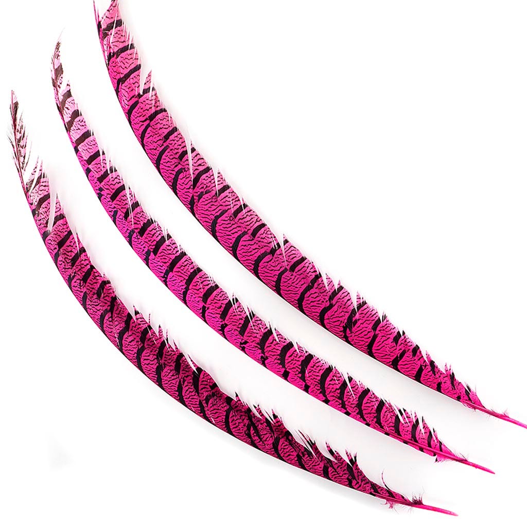 Lady Amherst Pheasant Tails - Shocking Pink