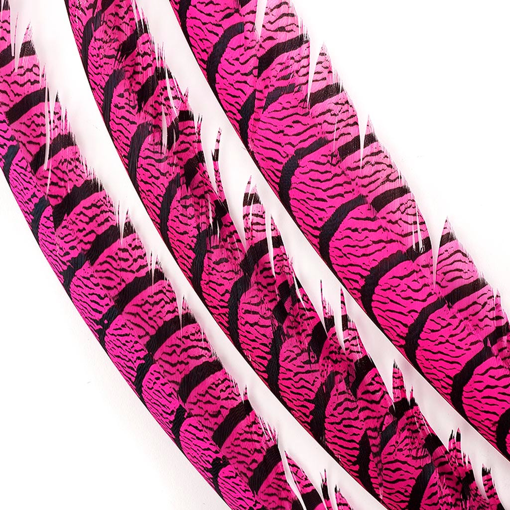 Lady Amherst Pheasant Tails - Shocking Pink