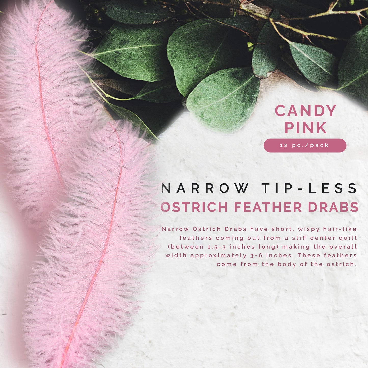 Ostrich Feathers-Narrow Drabs - Candy Pink