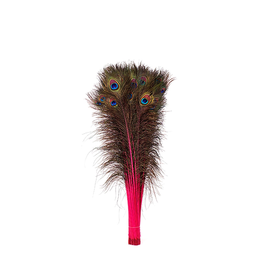 Peacock Tail Eyes Stem Dyed - 25-40 Inch - 100 PCS - Shocking Pink