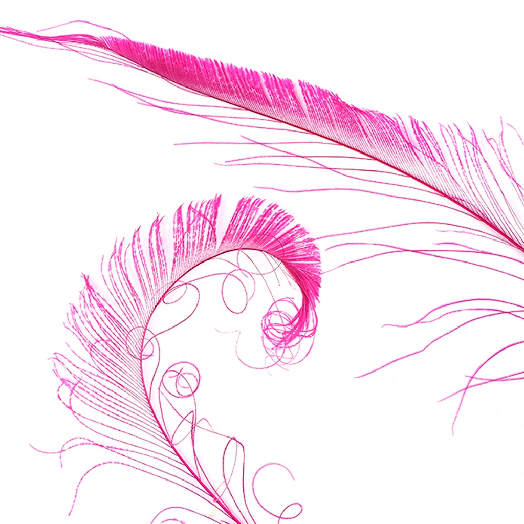 Bleached and Dyed Peacock Sword Feathers - Shocking Pink
