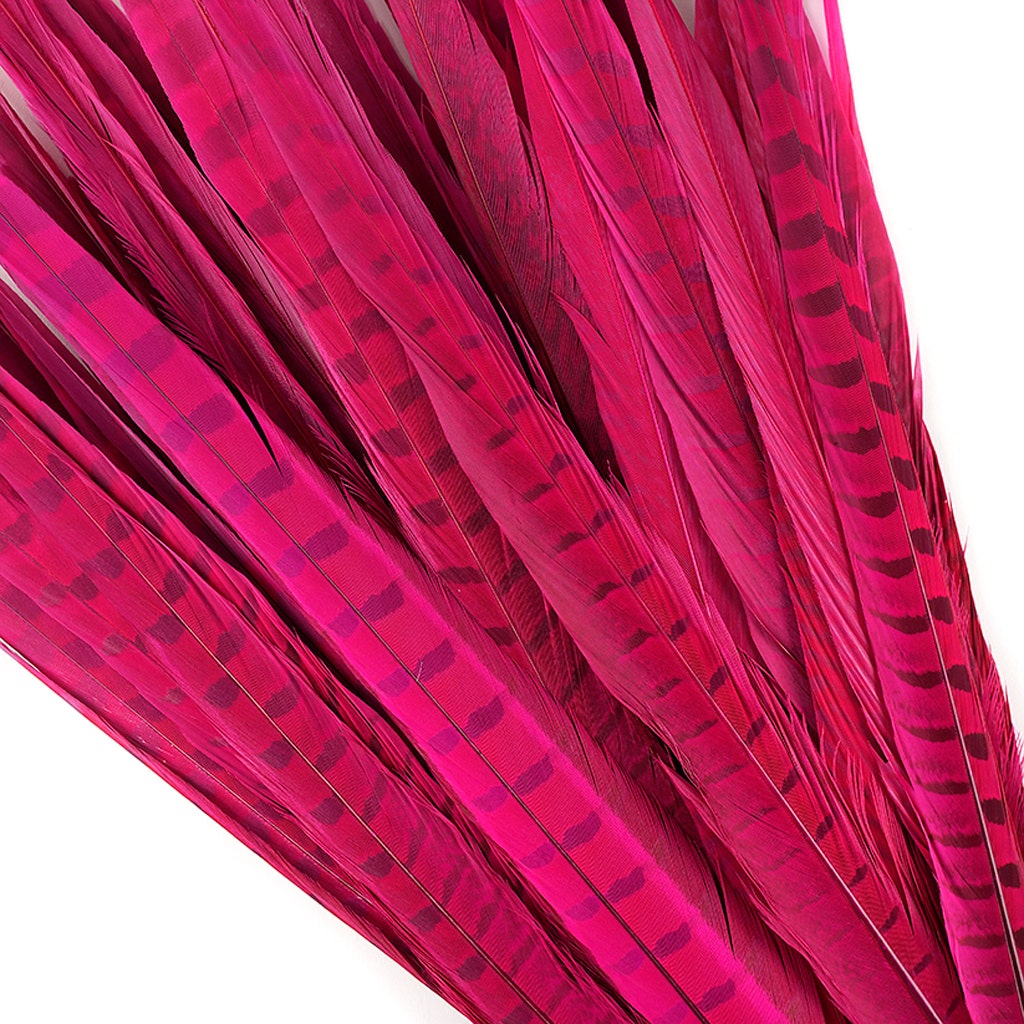 Assorted Pheasant Tails Dyed - Shocking Pink