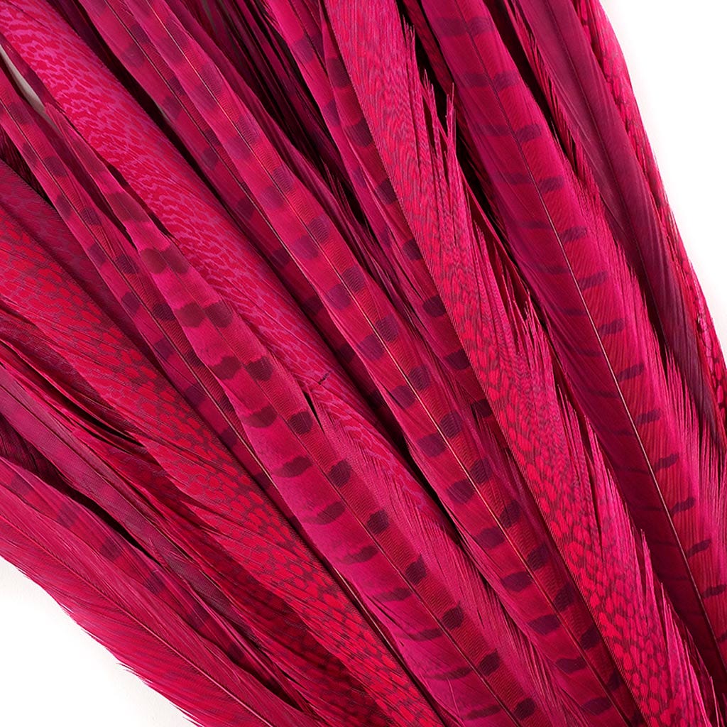 Assorted Pheasant Tails Dyed - Shocking Pink