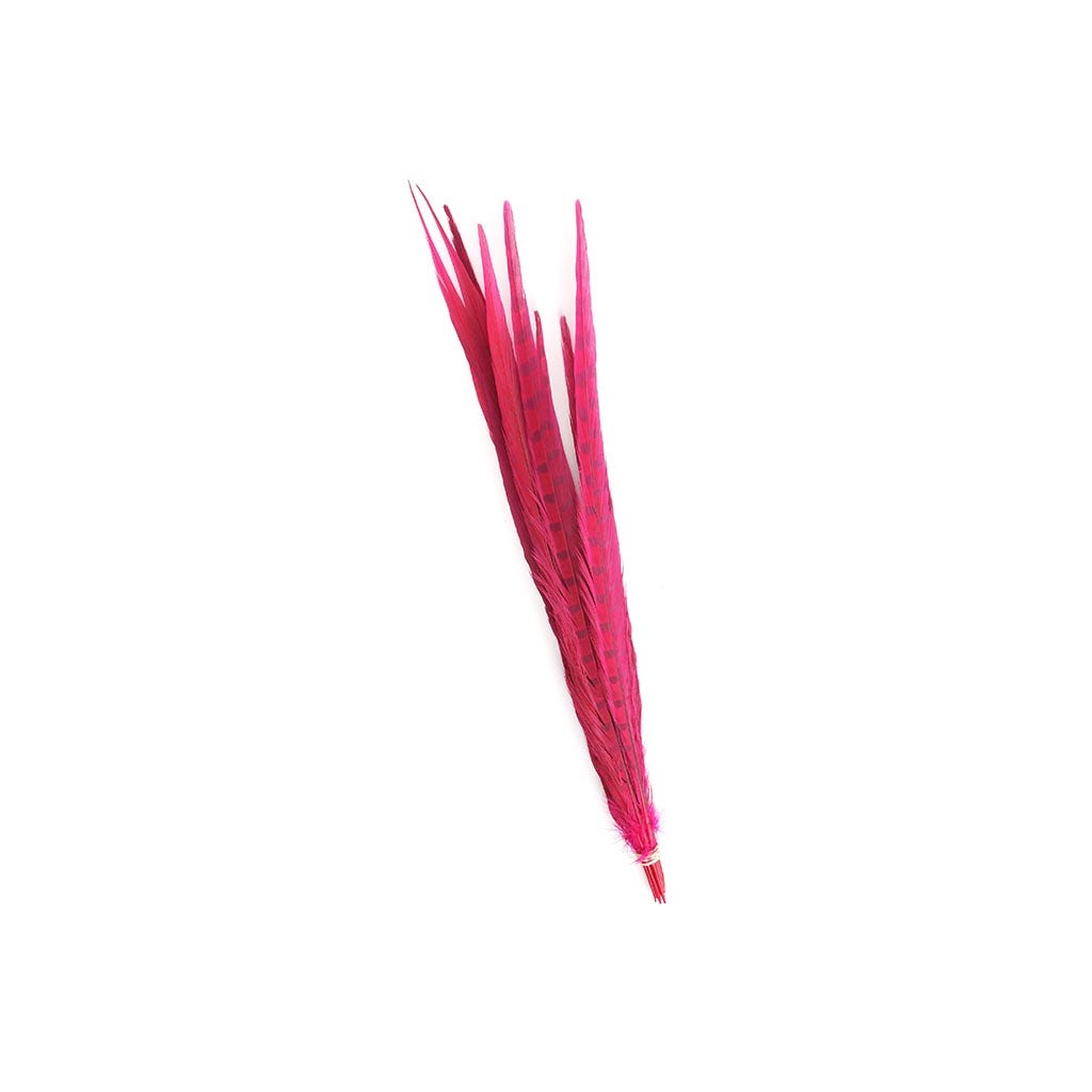 Pheasant Tails Assorted Bleached - Shocking Pink