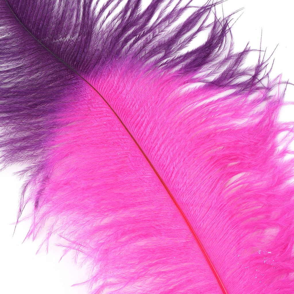 Ostrich Feather Drabs Tipped Selected - Shocking Pink - Purple