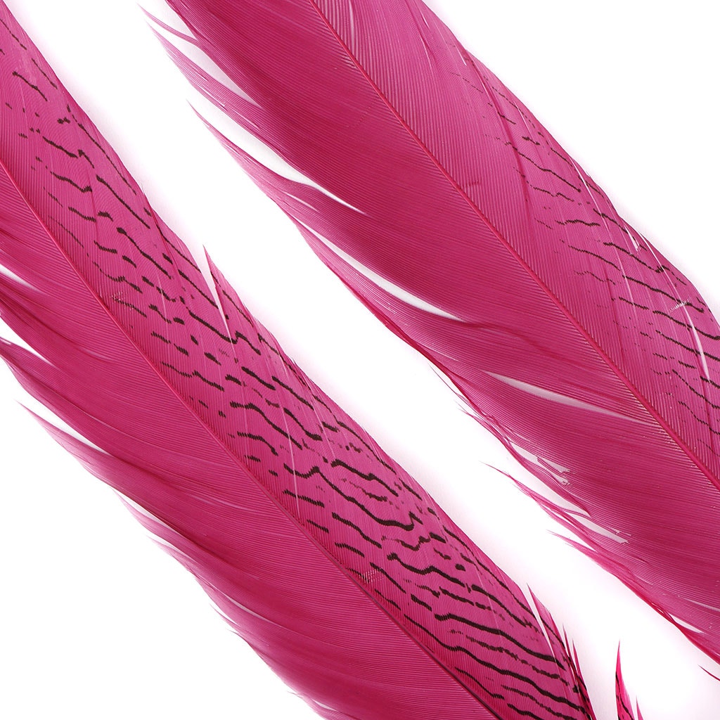 Silver Pheasant Tail Feathers Dyed Raspberry Sorbet