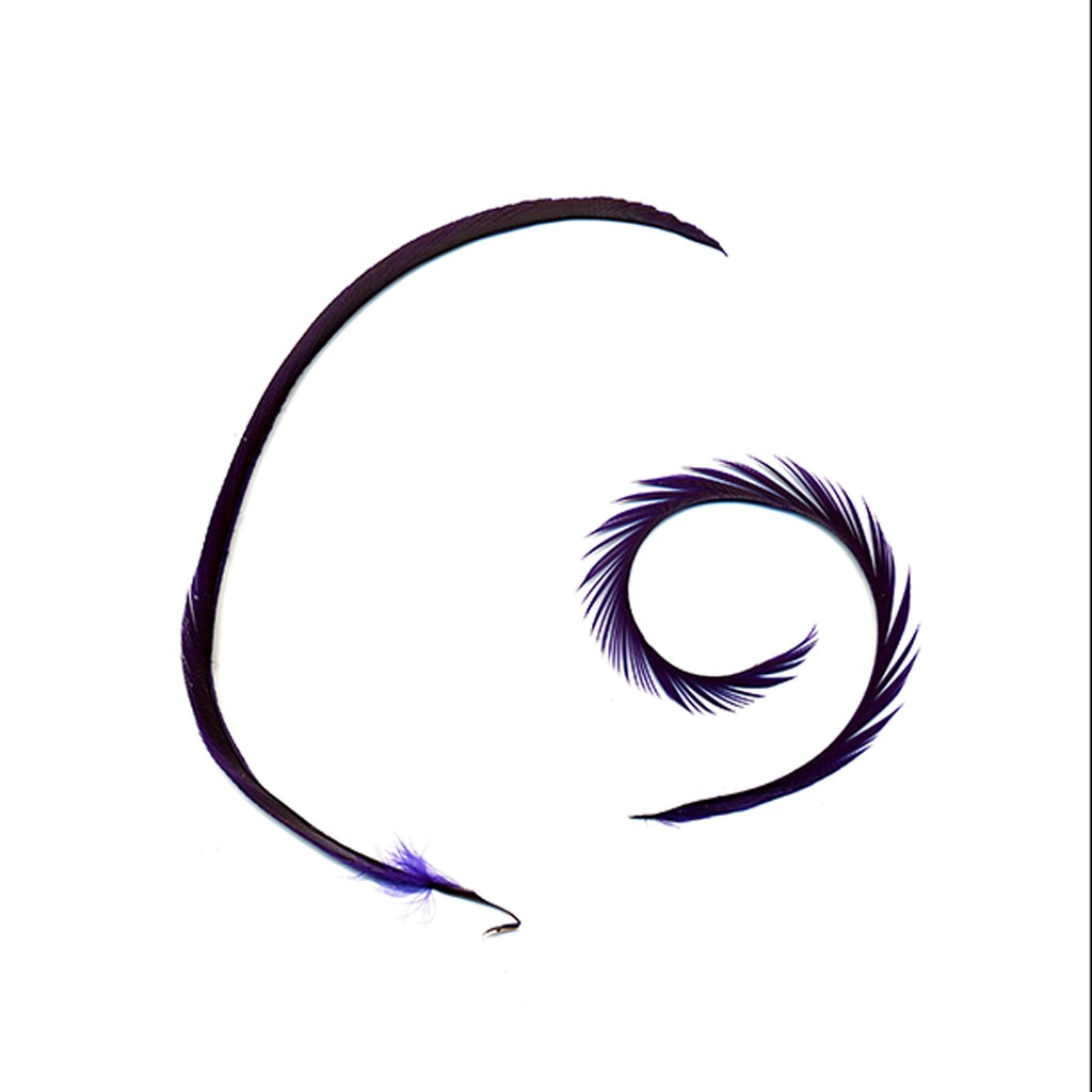 Goose Biot Feathers-Dyed - Regal