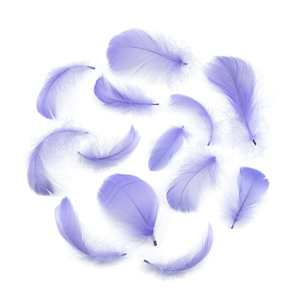 Bulk Goose Coquille Feathers Dyed - Lavender - 1/4 lb