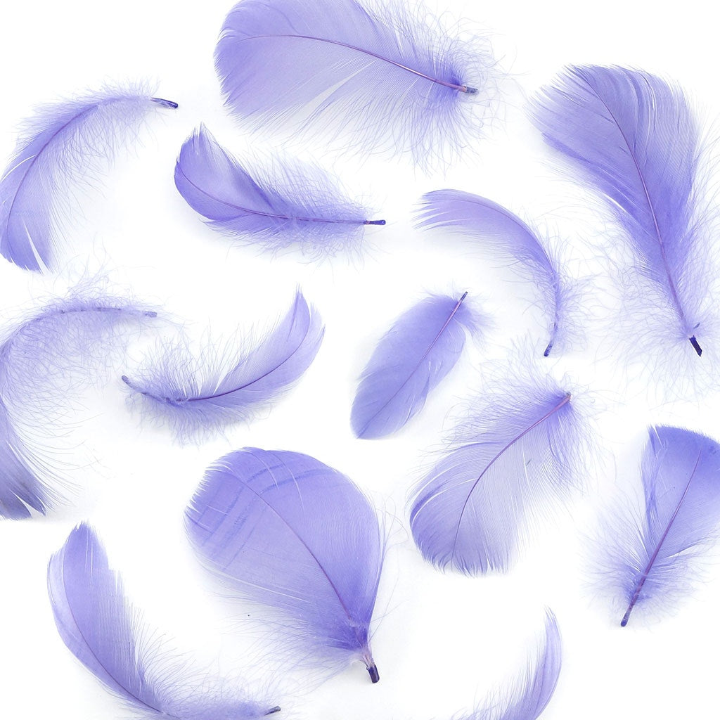 Bulk Goose Coquille Feathers Dyed - Lavender - 1/4 lb