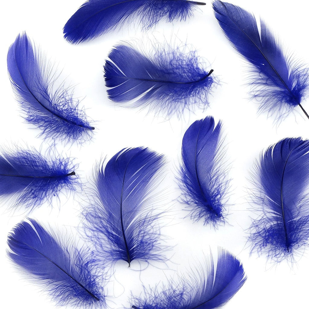 Regal Purple Loose Goose Coquille Feathers 3-5 inch