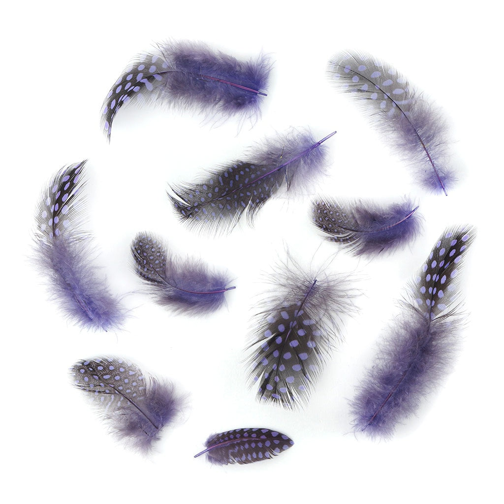 Bulk Guinea Hen Plumage - 1/4 lb - Lavender