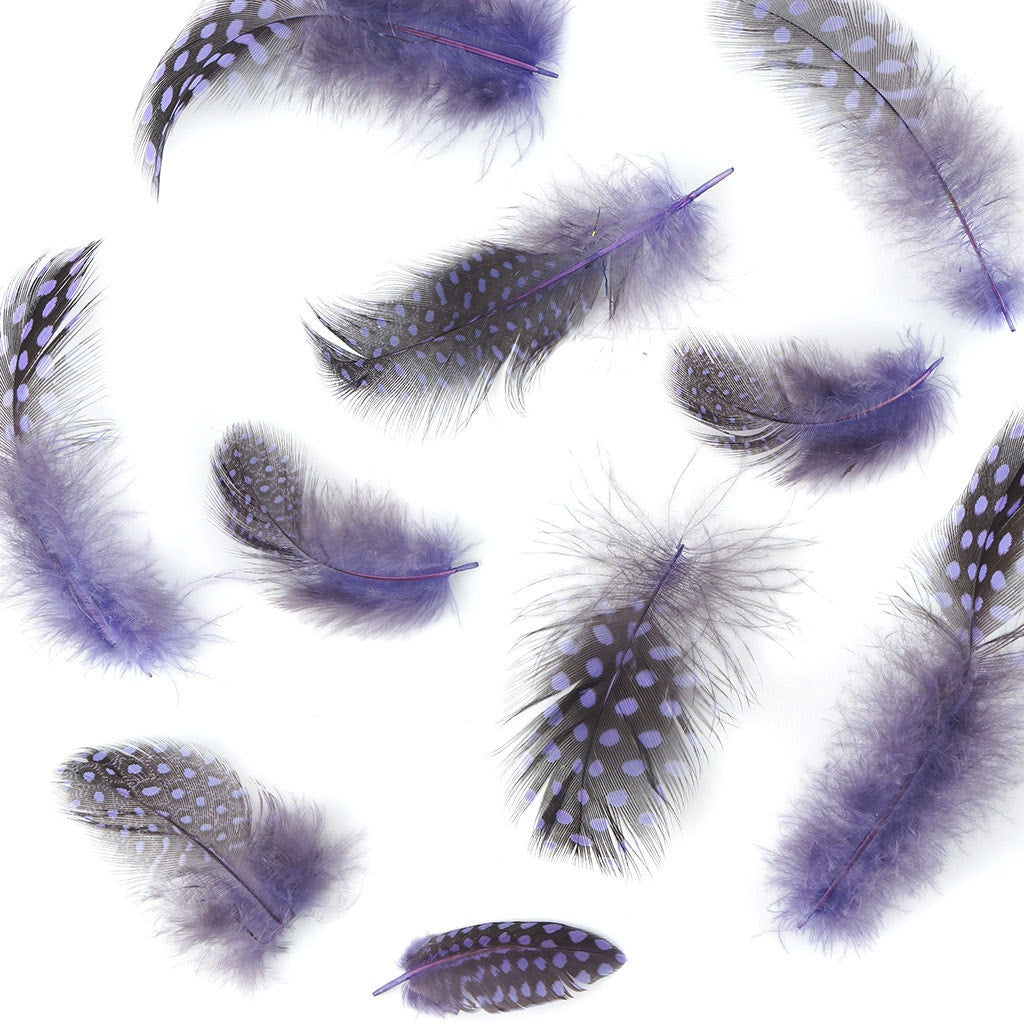 Bulk Guinea Hen Plumage - 1/4 lb - Lavender