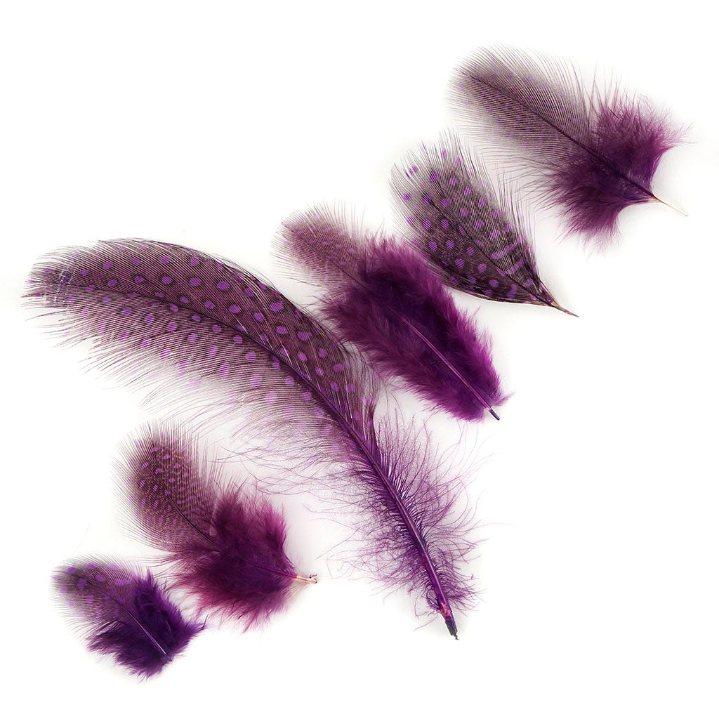 Bulk Guinea Hen Plumage Feathers - 1/4 lb - Purple