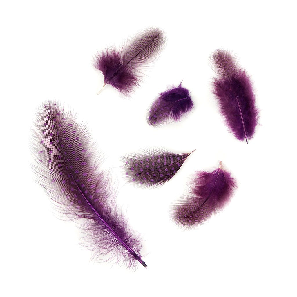 Bulk Guinea Hen Plumage Feathers - 1/4 lb - Purple