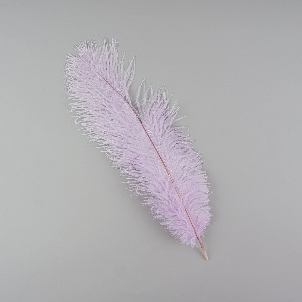 Ostrich Feathers-Damaged Drabs - Orchid