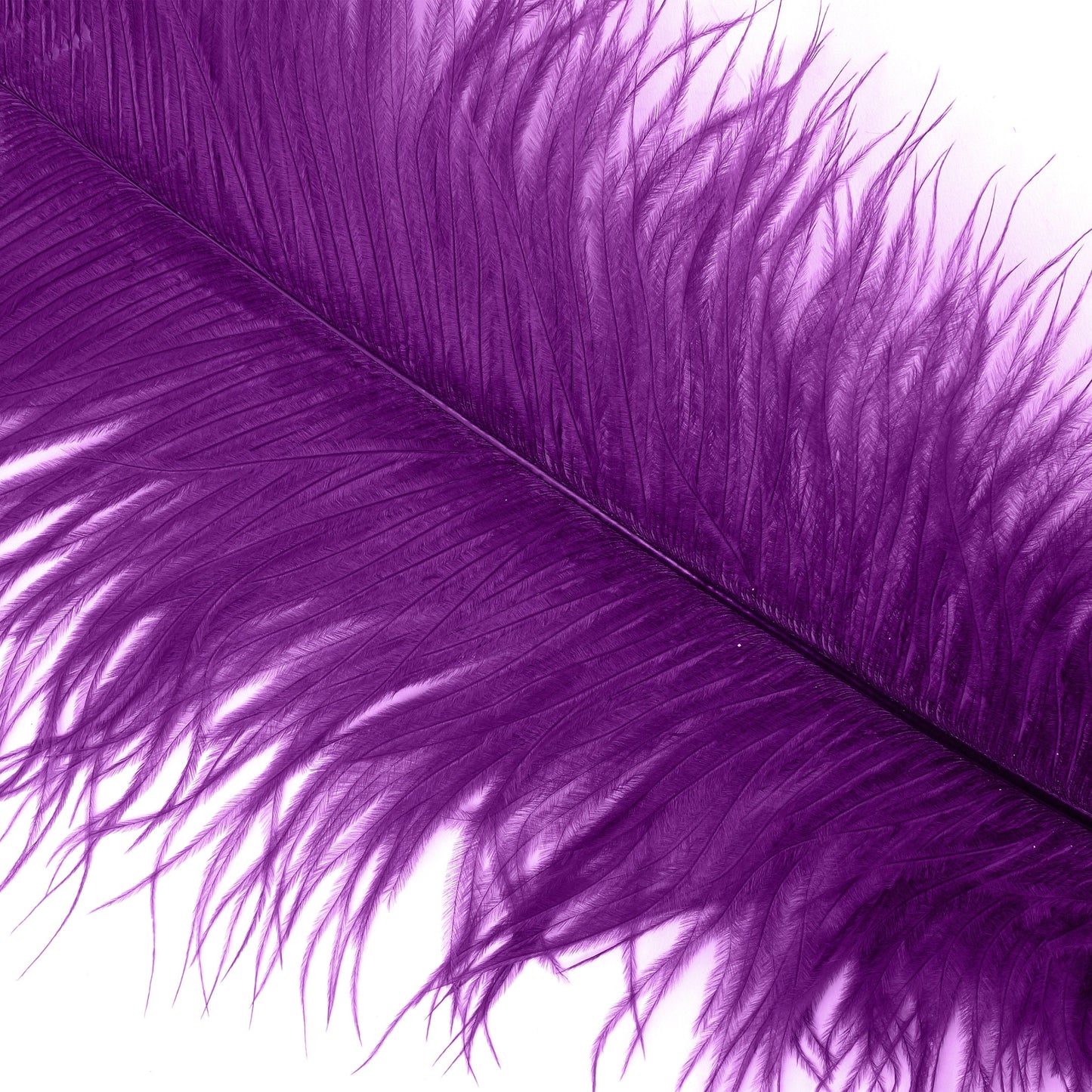 Ostrich Feathers-Narrow Drabs - Purple