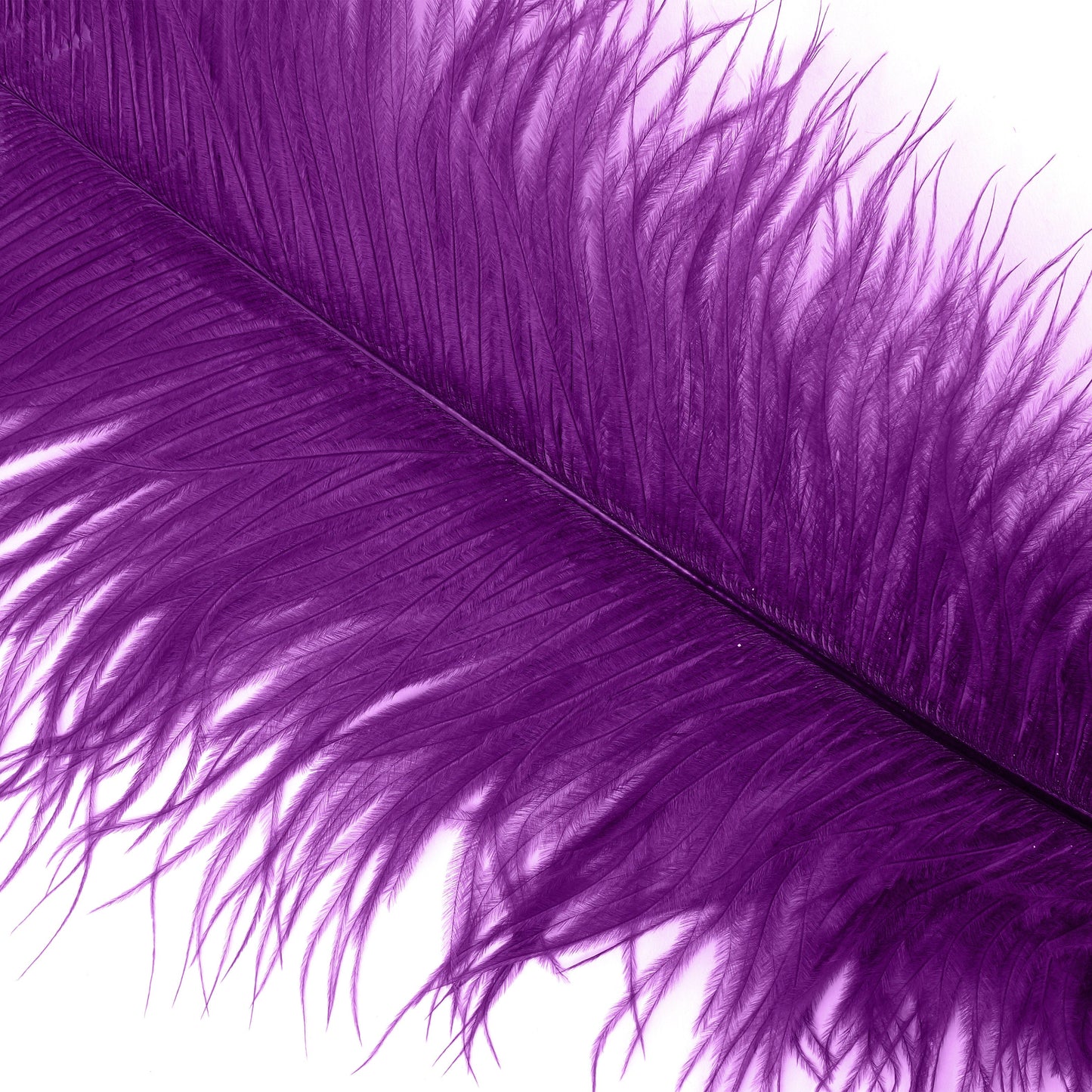 Ostrich Feathers-Narrow Drabs - Purple