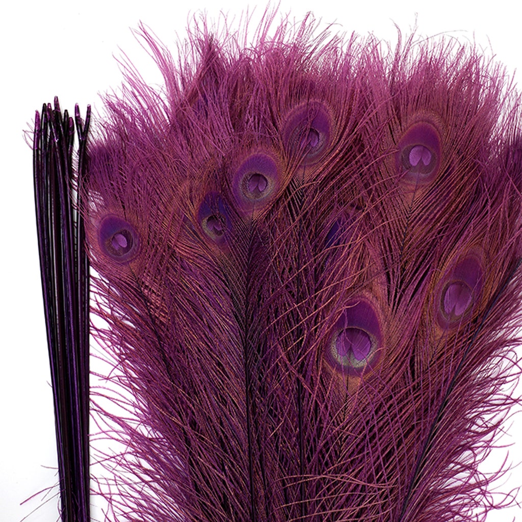 Peacock Eyes Bleached/Dyed & Tipped Feathers - Orchid - Purple