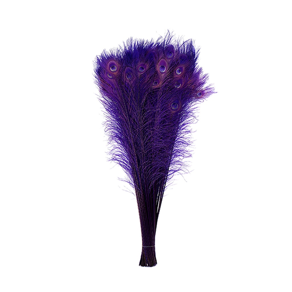 Peacock Tail Eyes Bleached Dyed - Regal