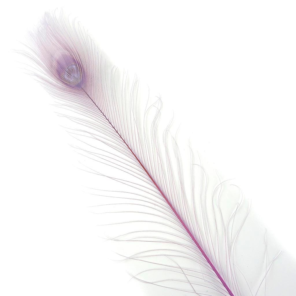 Peacock Craft Feathers –  by Zucker Feather Products, Inc.