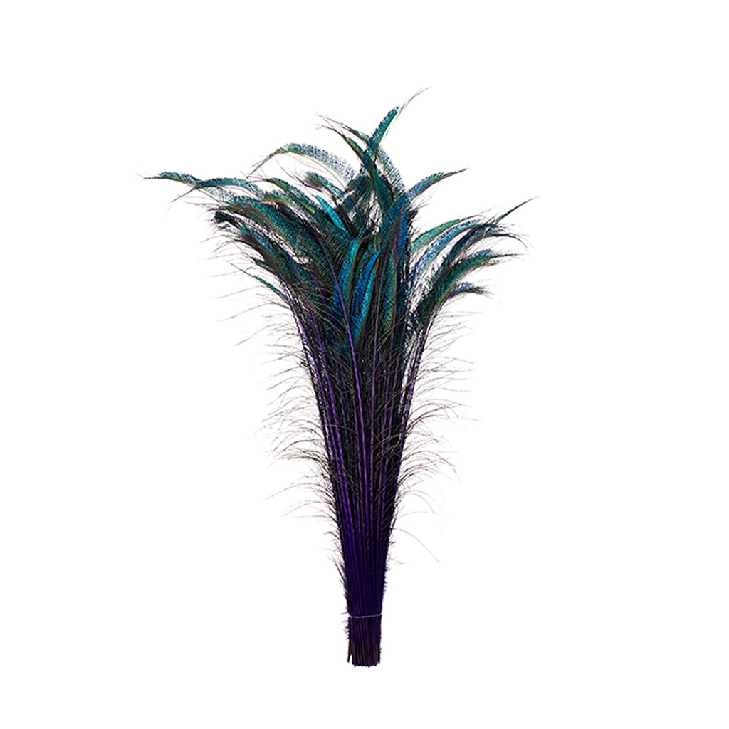 Natural Peacock Sword Feathers