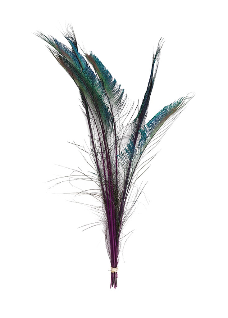 Zucker Feather Products Peacock Swords Stem Dyed Feathers - 25-40 inch - 10pcs - Light Turquoise