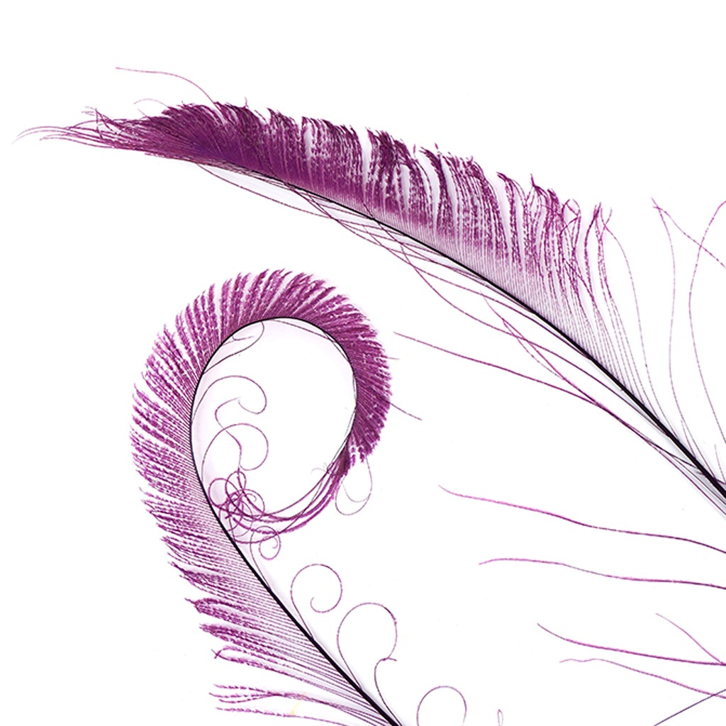 Peacock Swords Bleached/Dyed - Purple