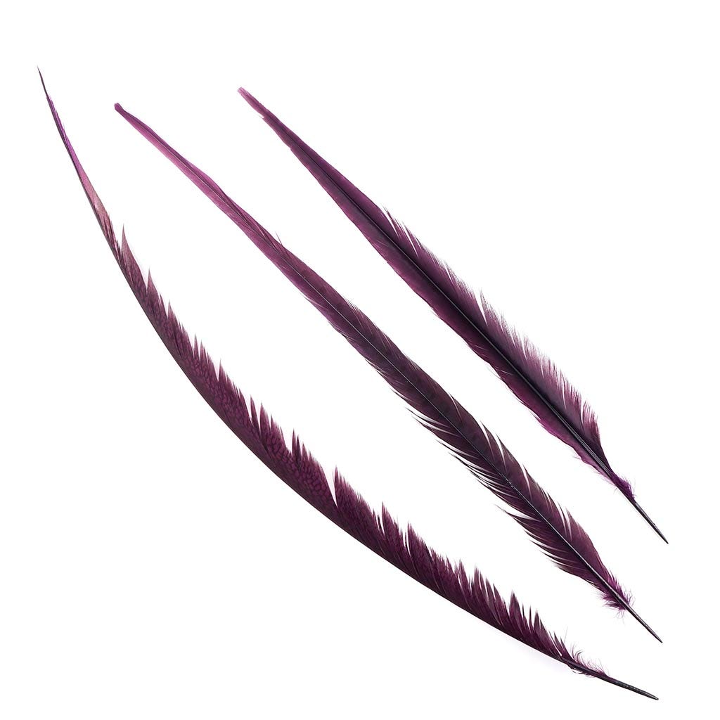 Pheasant Tails Assorted Bleached - Purple
