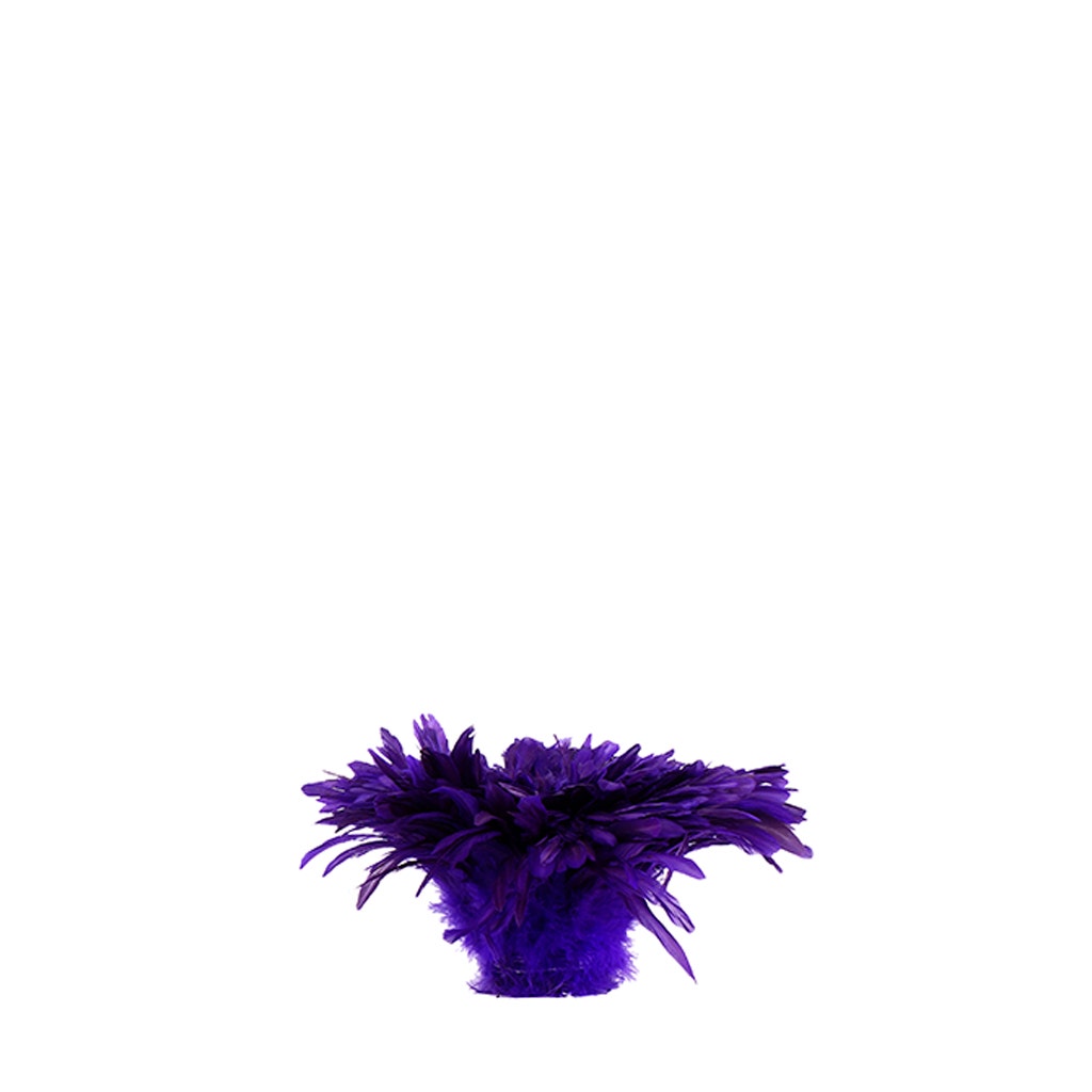 Rooster Coque Tail Feathers Bleach and Dyed - Regal